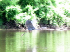 IMG 4750